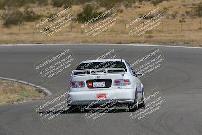 media/Nov-03-2023-Club Racer Events (Fri) [[fd9eff64e3]]/Yellow/Back Shots/